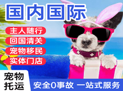澜沧景迈机场货运国际宠物托运 【国